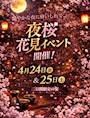 ピックアップニュース 花見イベント ~艶やかな夜に酔いしれて~