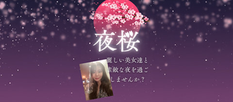 夜桜・ヨザクラ - 神田のパブ/スナック