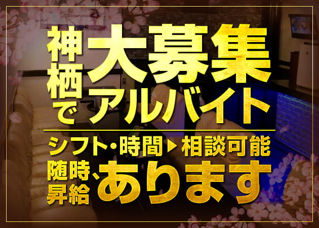 「SAKURA」スタッフ求人