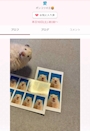 ピックアップニュース 新しい仲間が増えてます☺️✨