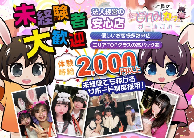 三島ガールズバー・三島女どれみ・カフェの求人