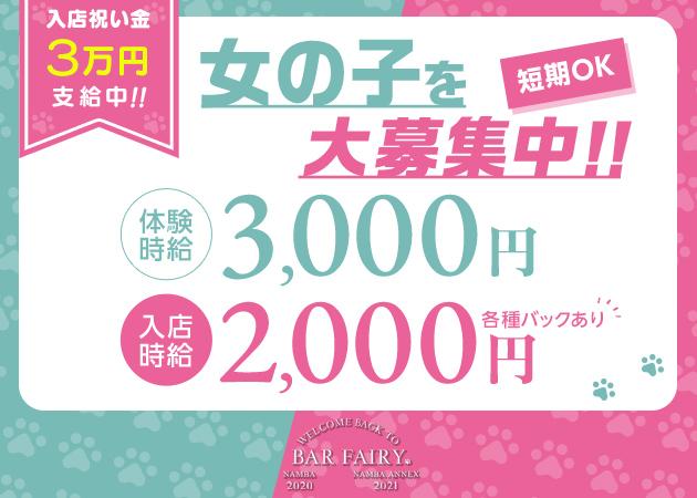 ミナミガールズバー・BAR FAIRY -なんば店-の求人