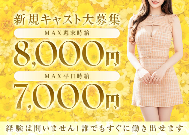 刈谷キャバクラ・club LILYの求人