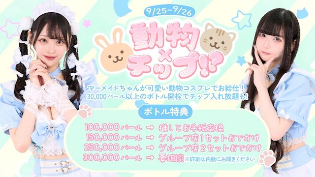 ピックアップニュース 🐰動物×チップ!?🐱