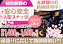 ピックアップニュース 🌸仙台駅チカのアットホームスナック【SAKURA2010】🌸