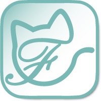 近くの店舗 BAR FAIRY Anela 弁天町店