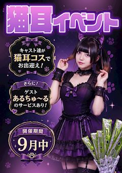 猫耳イベント🐈