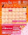 ピックアップニュース 3月のイベントカレンダー👸🌸