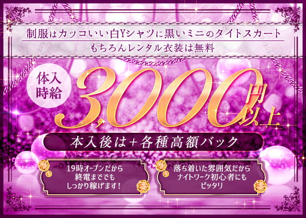 GIRLS LOUNGE BAR VIP 職種：カウンターレディ