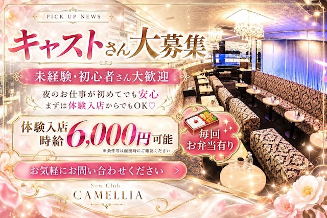 ピックアップニュース 🩷キャストさん大募集🩷 未経験・初心者さん大歓迎‼️