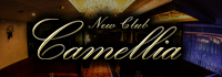 New Club Camellia