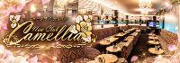 New Club Camellia