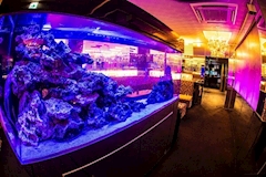 鹿児島/天文館/キャバクラ/NewClub Camellia 店舗写真