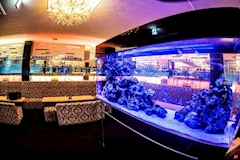 鹿児島/天文館/キャバクラ/NewClub Camellia 店舗写真