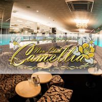 店舗写真 鹿児島/天文館/キャバクラ/NewClub Camellia