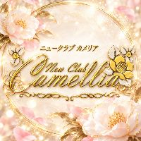 店舗写真 鹿児島/天文館/キャバクラ/NewClub Camellia