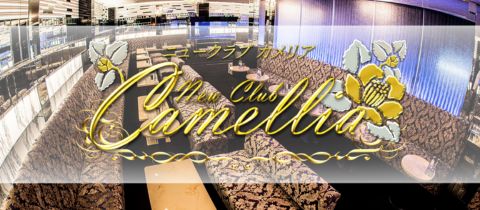 鹿児島/天文館/キャバクラ/NewClub Camellia