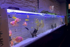 club ReVawn・リヴォーン - 福島市のキャバクラ 店舗写真