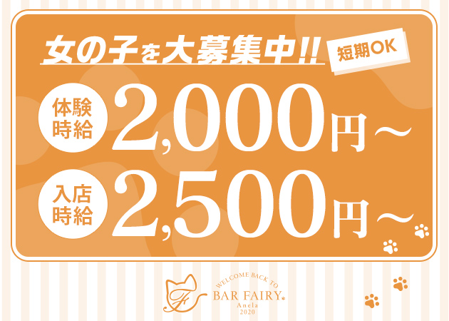 十三ガールズバー・BAR FAIRY Anela 十三店の求人