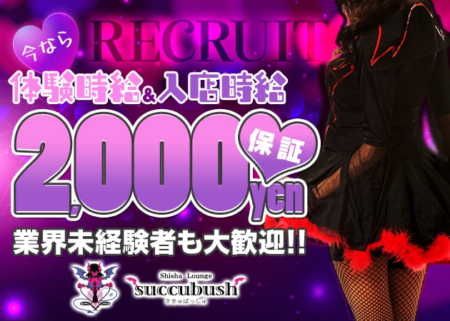 Shisha Lounge Succubush 職種：カウンターレディ