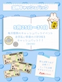 ピックアップニュース 【5/25-3/31】💰金券キャッシュバック💰