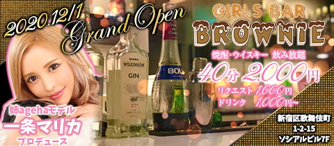 Brownie ブラウニー 歌舞伎町のガールズバー ポケパラ