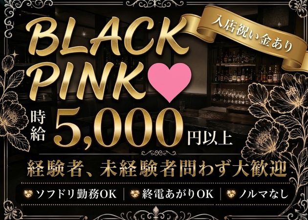 歌舞伎町ガールズバー・BLACK PINKの求人
