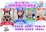 ピックアップニュース 12月　Dolls Queen GP結果発表！！