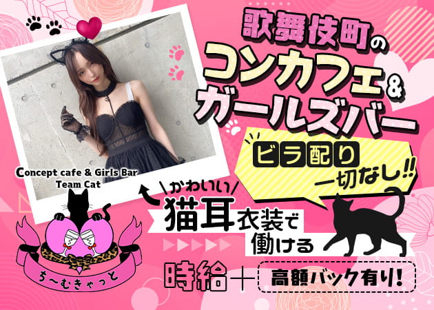 ポケパラ体入 cafe&Girls Bar Team Cat・チームキャット - 歌舞伎町のガールズバー女性キャスト募集
