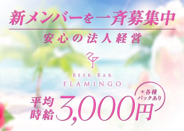 BEER BAR FLAMINGO 職種：カウンターレディ