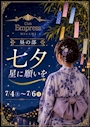 ピックアップニュース 🎋✨ 七夕イベント開催 ✨🎋