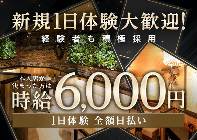 豊橋キャバクラ・FREYAの求人