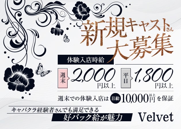 Velvet 職種:フロアレディ