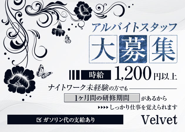 「Velvet」スタッフ求人