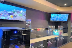 GIRL'S BAR JUNGLE・ジャングル - 西川口のガールズバー 店舗写真