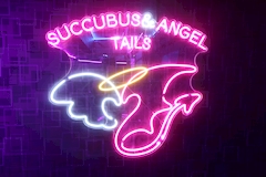 Succubus&Angel Tails・サキュバス アンド エンジェル テイルズ - 名古屋 名駅のガールズバー 店舗写真