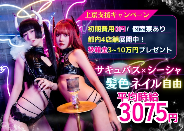 Succubus&Angel Tails 職種:カウンターレディ