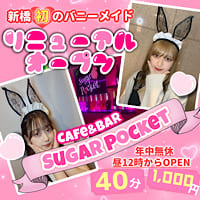 Cafe&Bar Sugar Pocket - 新橋のコンセプトカフェ&バー