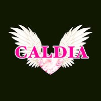 近くの店舗 CALDIA