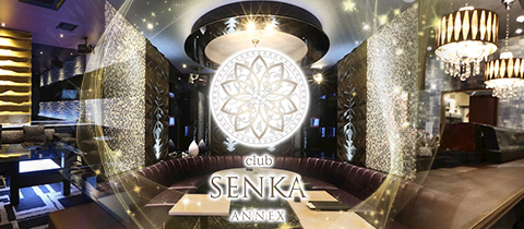 club SENKA ANNEX・センカアネックス - 国分町のキャバクラ