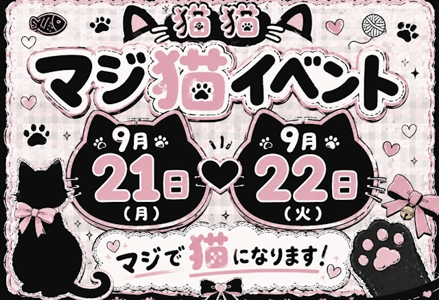 ピックアップニュース 🐱ガチ猫イベント開催🐱