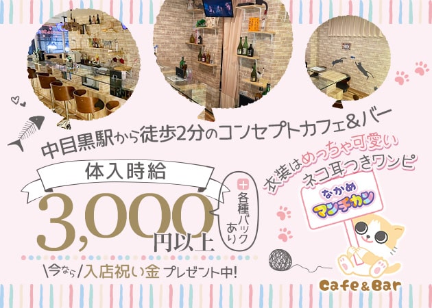 中目黒コンカフェ・なかめ マンチカンの求人