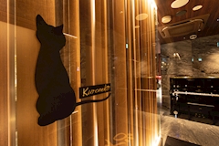 Ginza Kuroneko・ギンザ クロネコ - 銀座のキャバクラ 店舗写真