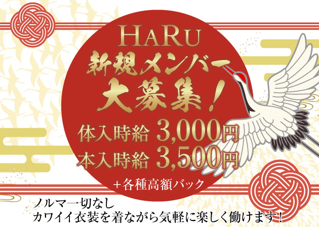 ポケパラ体入 HARU・ハル - 歌舞伎町のガールズバー女性キャスト募集