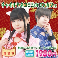 チャイニャカフェバー 桃猫堂 - 秋葉原のコンセプトカフェ
