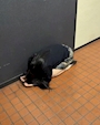 ピックアップニュース 【動画】今日のわちゃ
