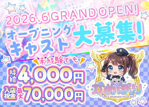 かめぽり
