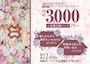 ピックアップニュース 一緒に働いてくれる女の子を募集中🌼🎀