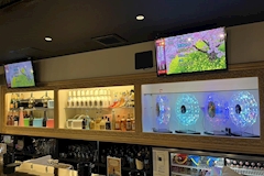 Anastasia・アナスタシア - 浜松のガールズバー 店舗写真