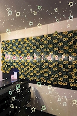 Stylish Bar 花木鳥・ハナキドリ - 新井薬師前のガールズバー 店舗写真